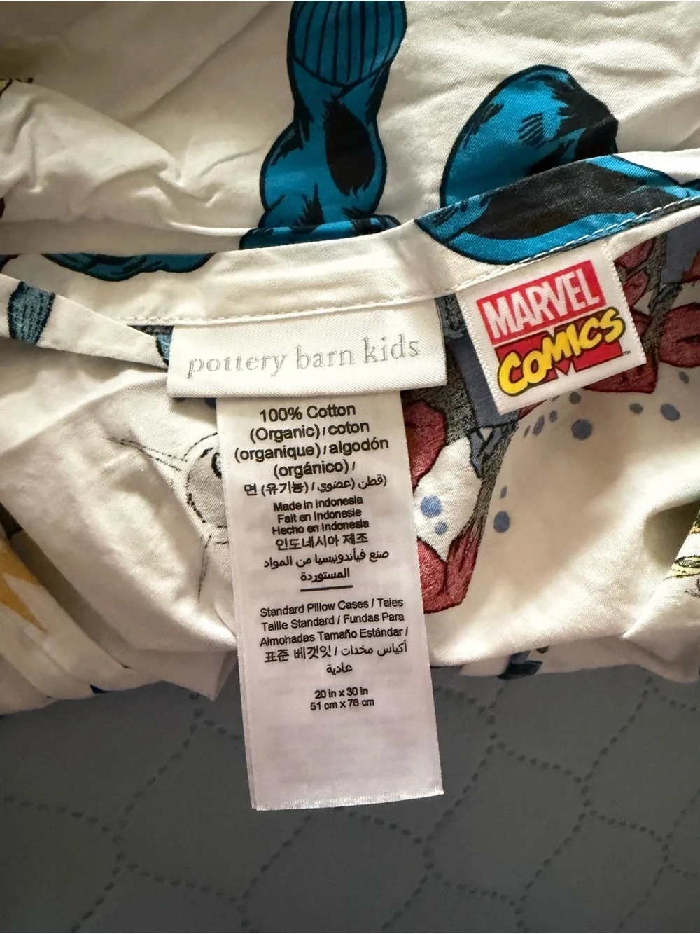 Pottery Barn Kids Marvel 2 Standard Pillowcases Spider-Man PB Kids